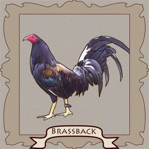 brassback gamefowl history|Gamefowl Fighting Styles! » Reach Unlimited.